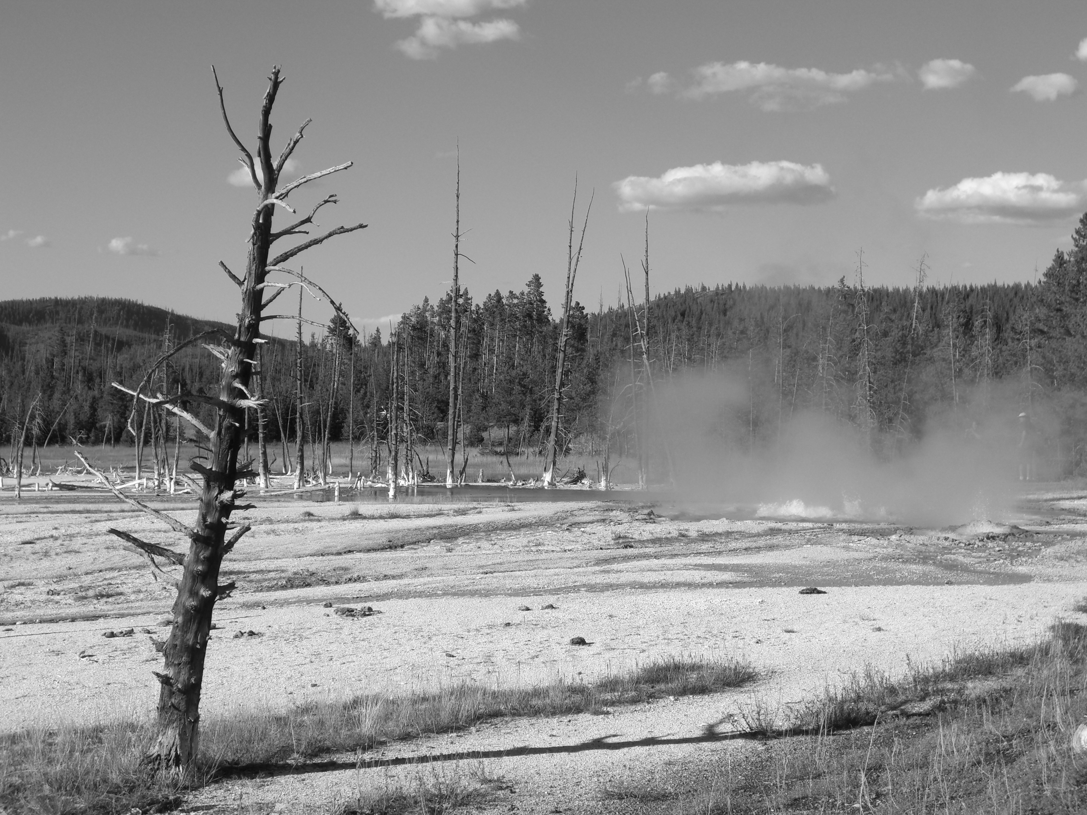 Wallpapers Trips : North America United-States Yellowstone [Wyoming]