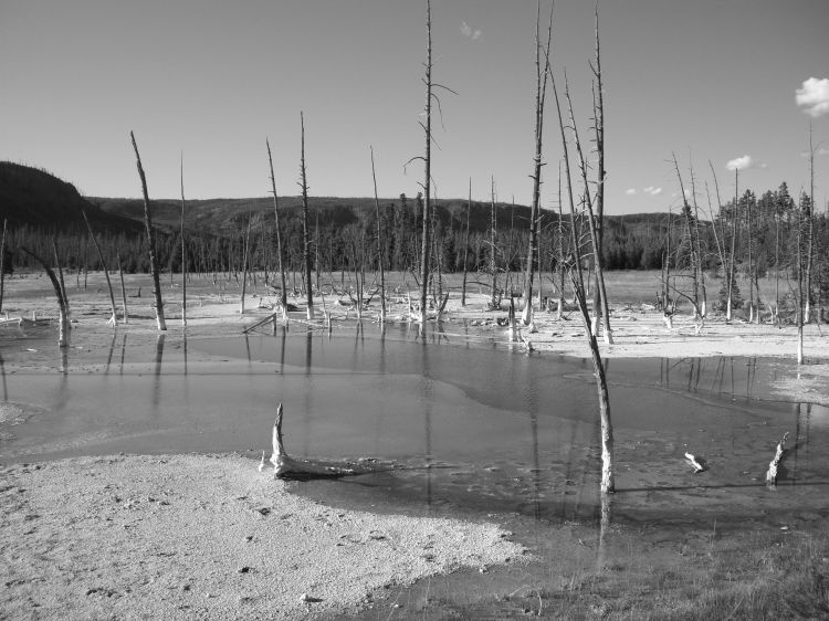 Wallpapers Trips : North America United-States Yellowstone [Wyoming]