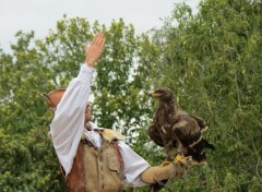  Animaux aigle (puy du fou : bal des oiseaux famtôme)