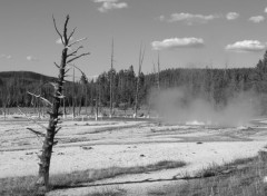  Voyages : Amrique du nord Yellowstone [Wyoming]