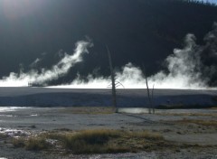  Trips : North America Yellowstone [Wyoming]