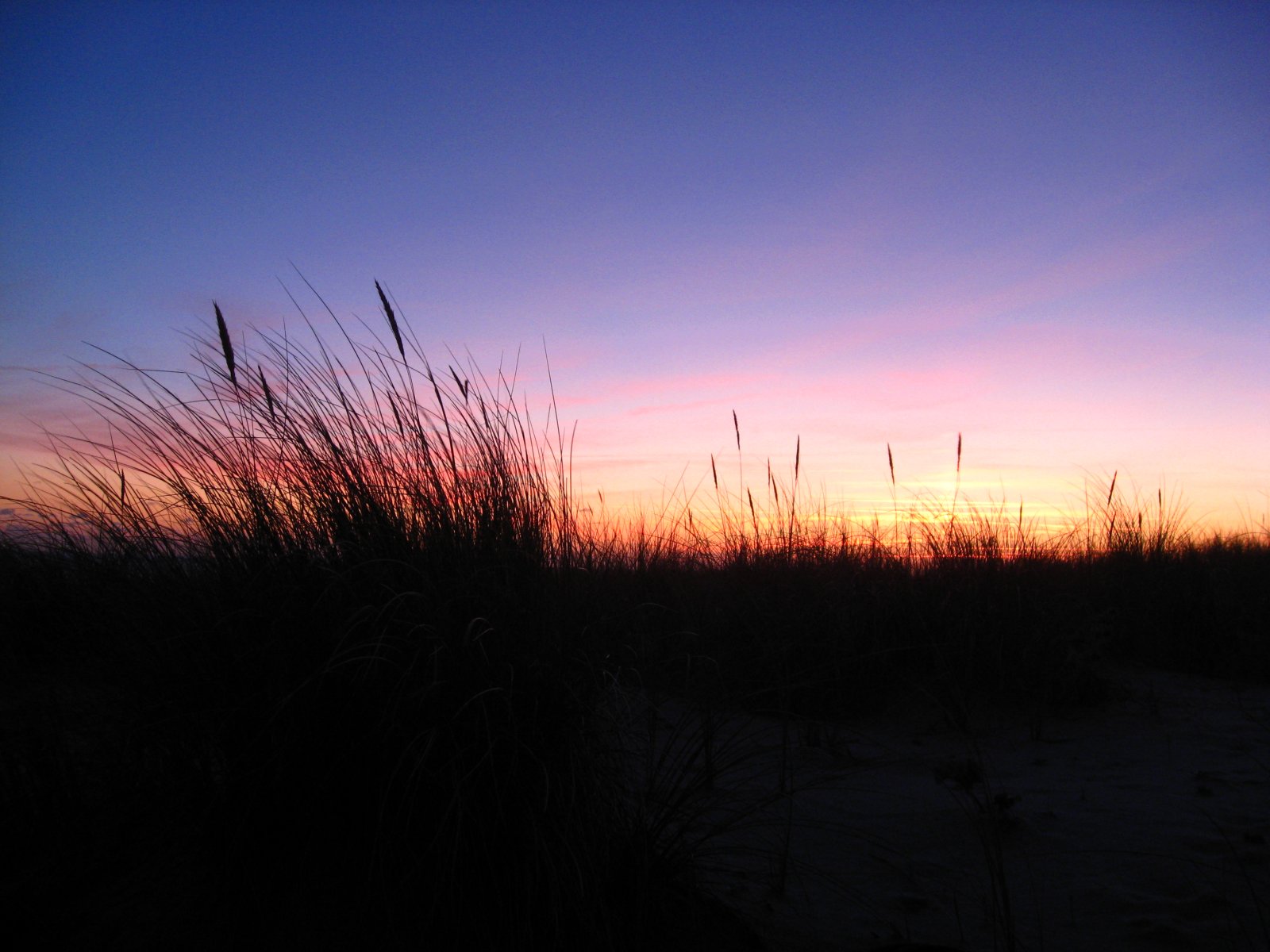 Fonds d'cran Nature Couchers et levers de Soleil 