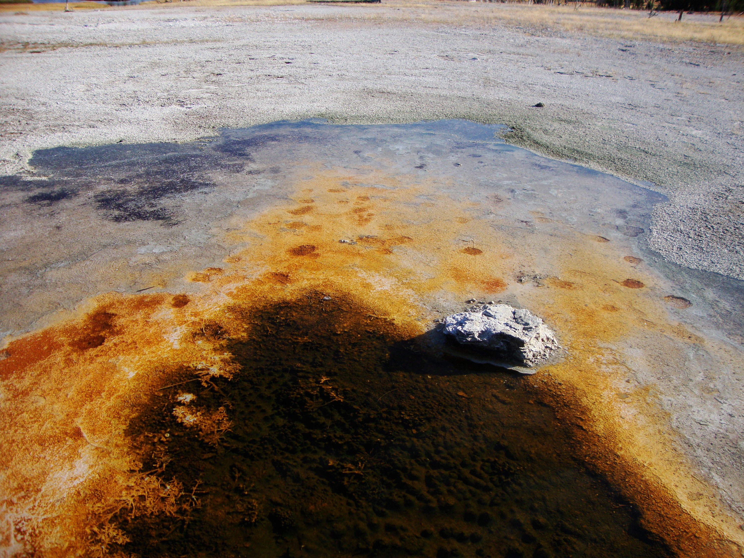 Wallpapers Trips : North America United-States Yellowstone