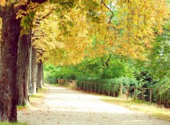  Nature petite ballade dans un jardin