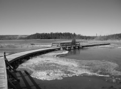  Trips : North America Yellowstone