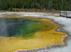  Voyages : Amrique du nord Yellowstone