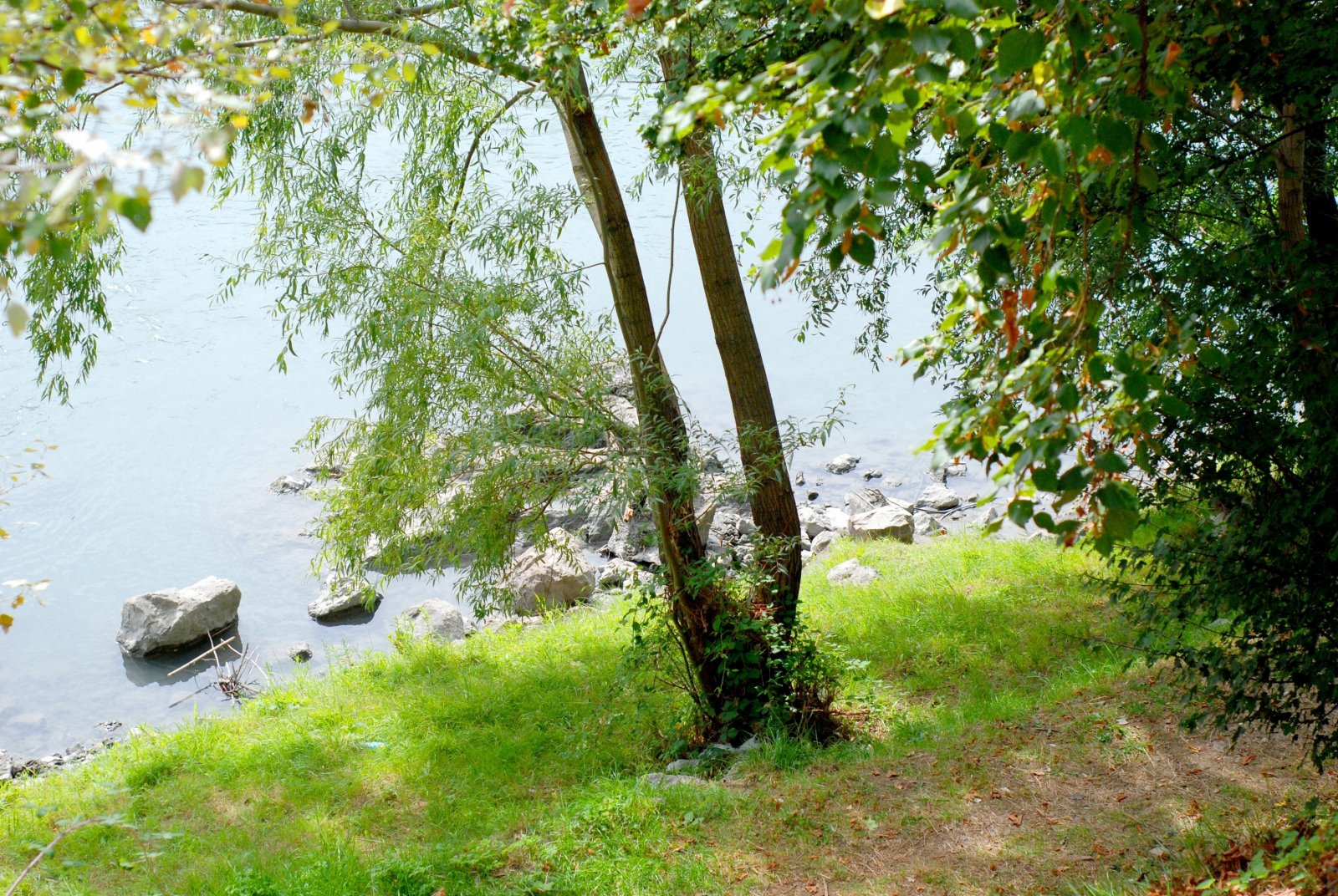 Fonds d'cran Nature Campagne Petit coin de paradis 