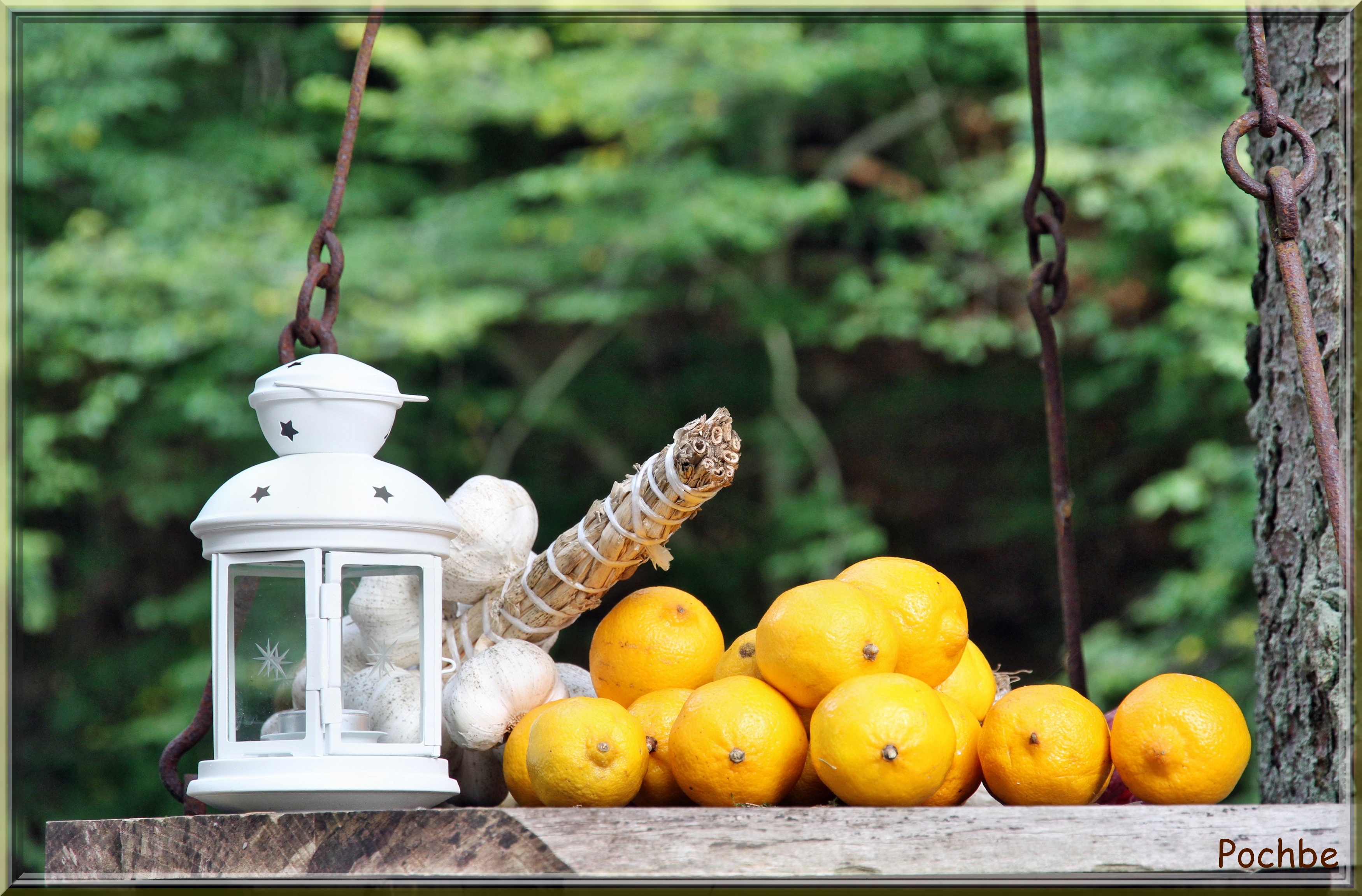 Wallpapers Nature Fruits 