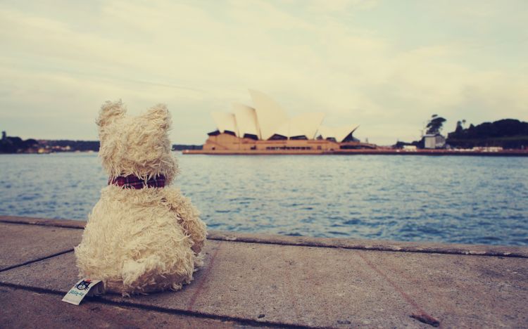 Fonds d'cran Voyages : Ocanie Australie Doggy in Australia (1/?)