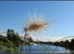  Nature Douceur