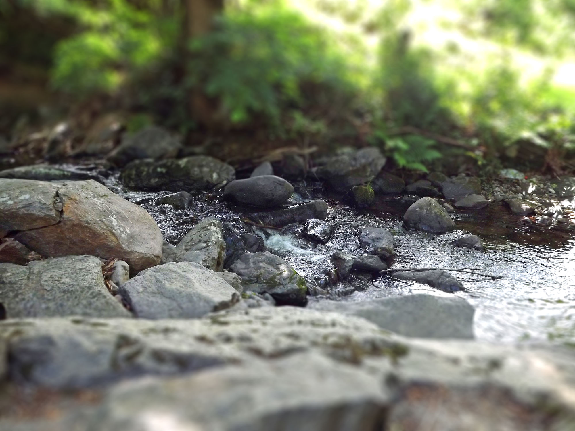 Fonds d'cran Nature Fleuves - Rivires - Torrents petit ruisseau