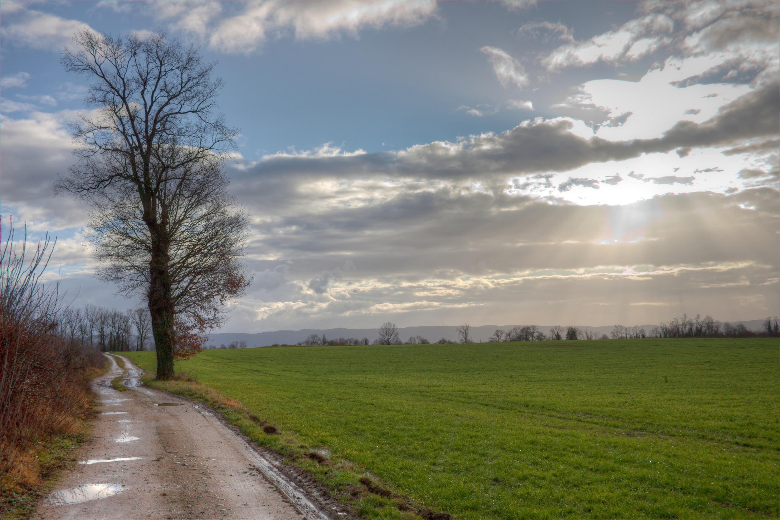 Wallpapers Nature Paths apres l'orage