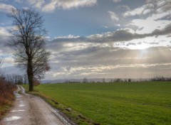  Nature apres l'orage