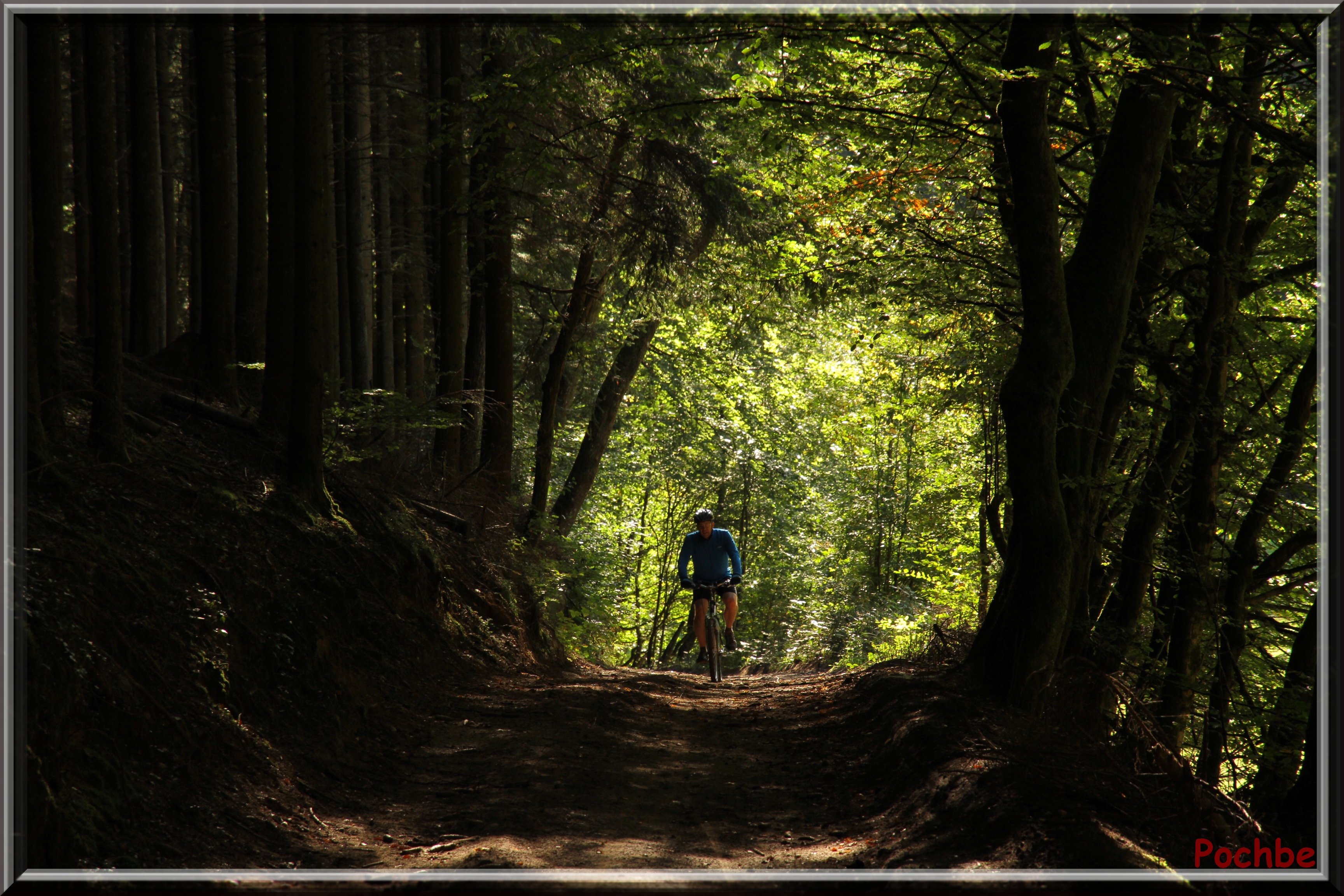 Fonds d'cran Nature Divers - Compositions 