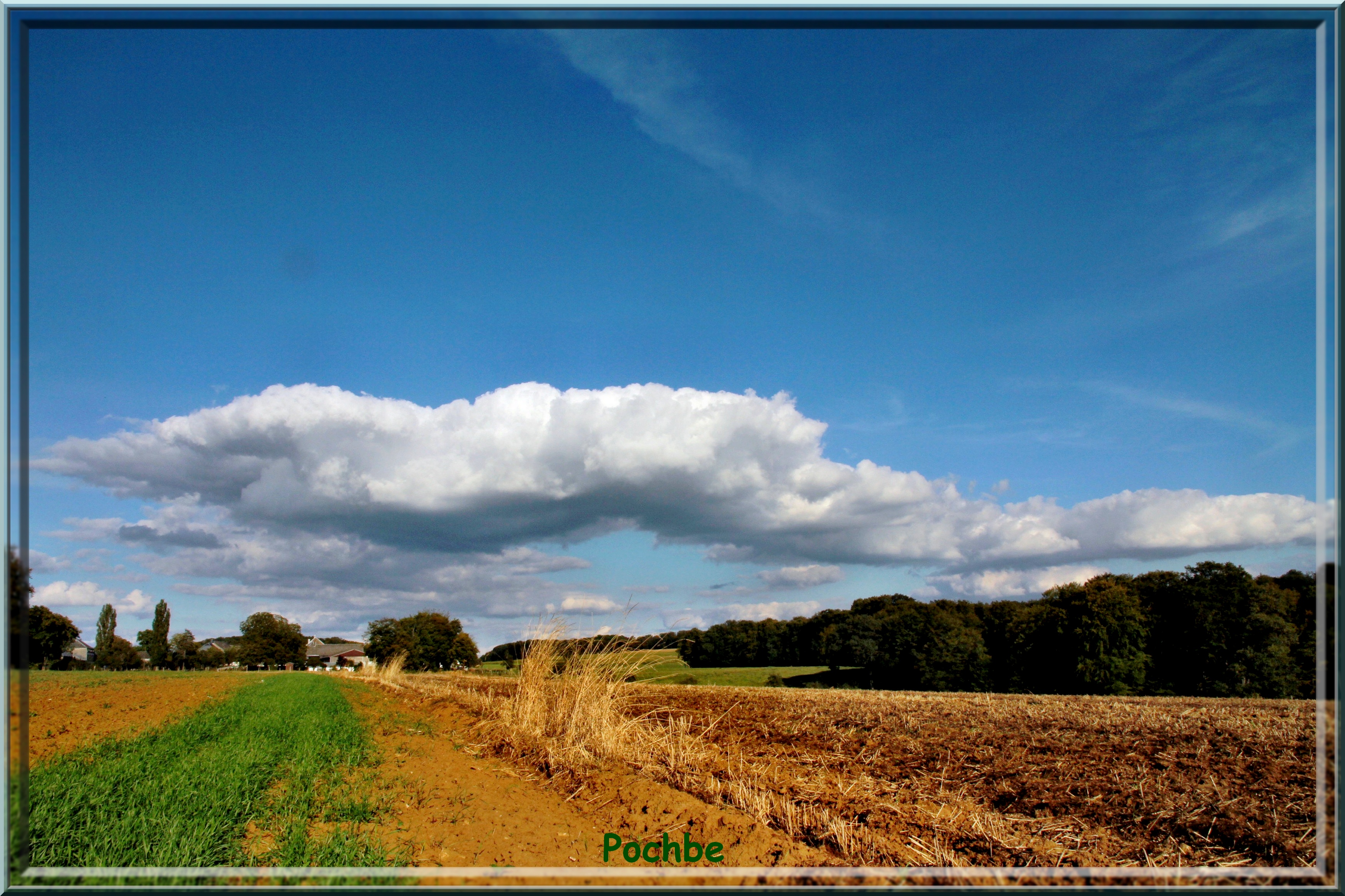 Fonds d'cran Nature Champs - Prairies 