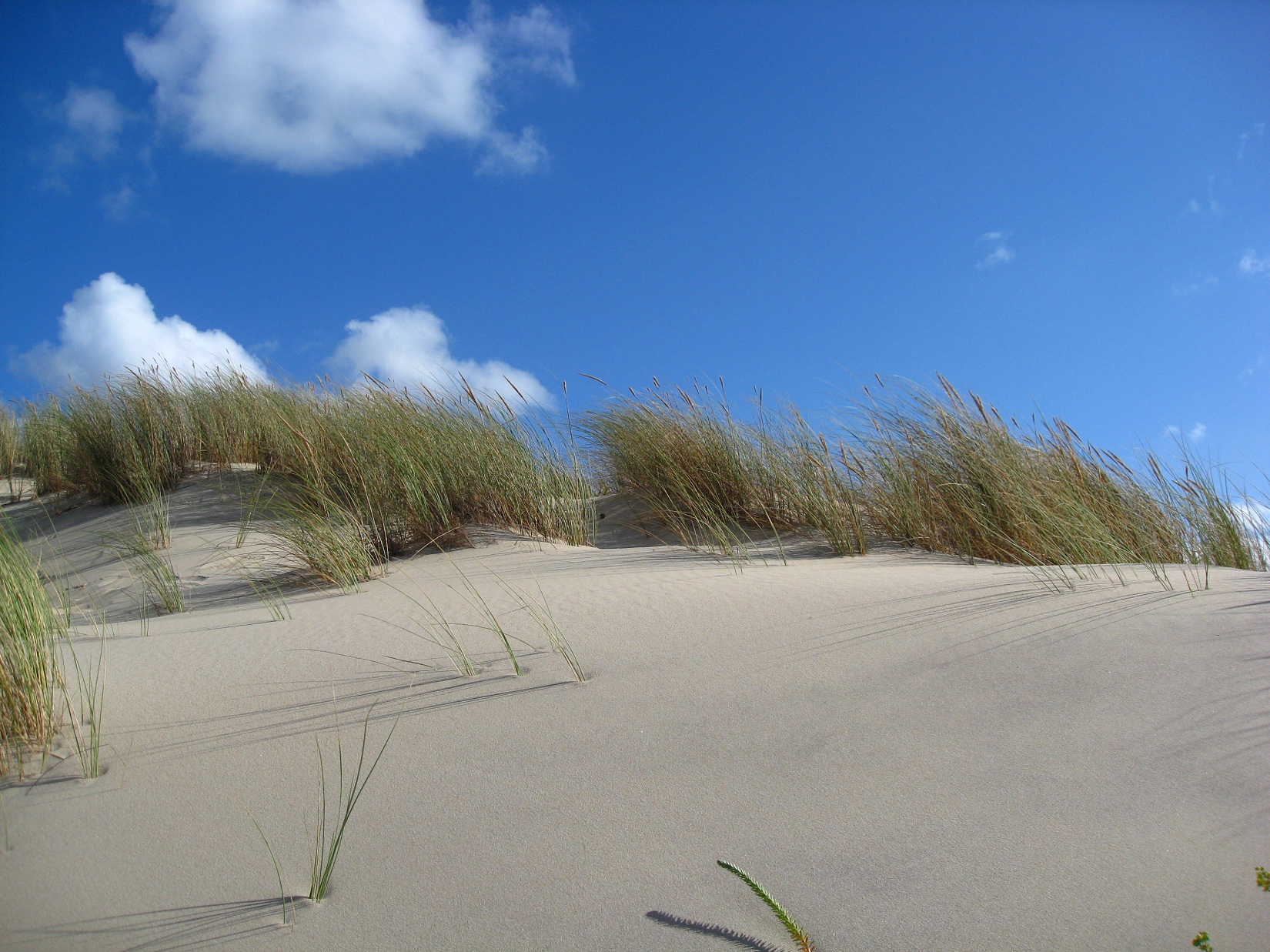 Fonds d'cran Nature Mers - Ocans - Plages 