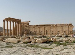  Trips : Asia palmyra -(le temple de bel )