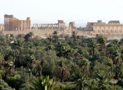  Voyages : Asie palmyra -(le temple de bel )