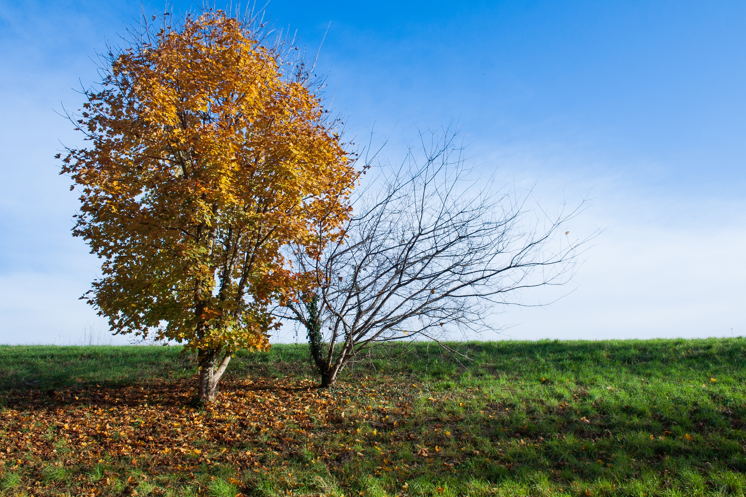 Fonds d'cran Nature Saisons - Automne 