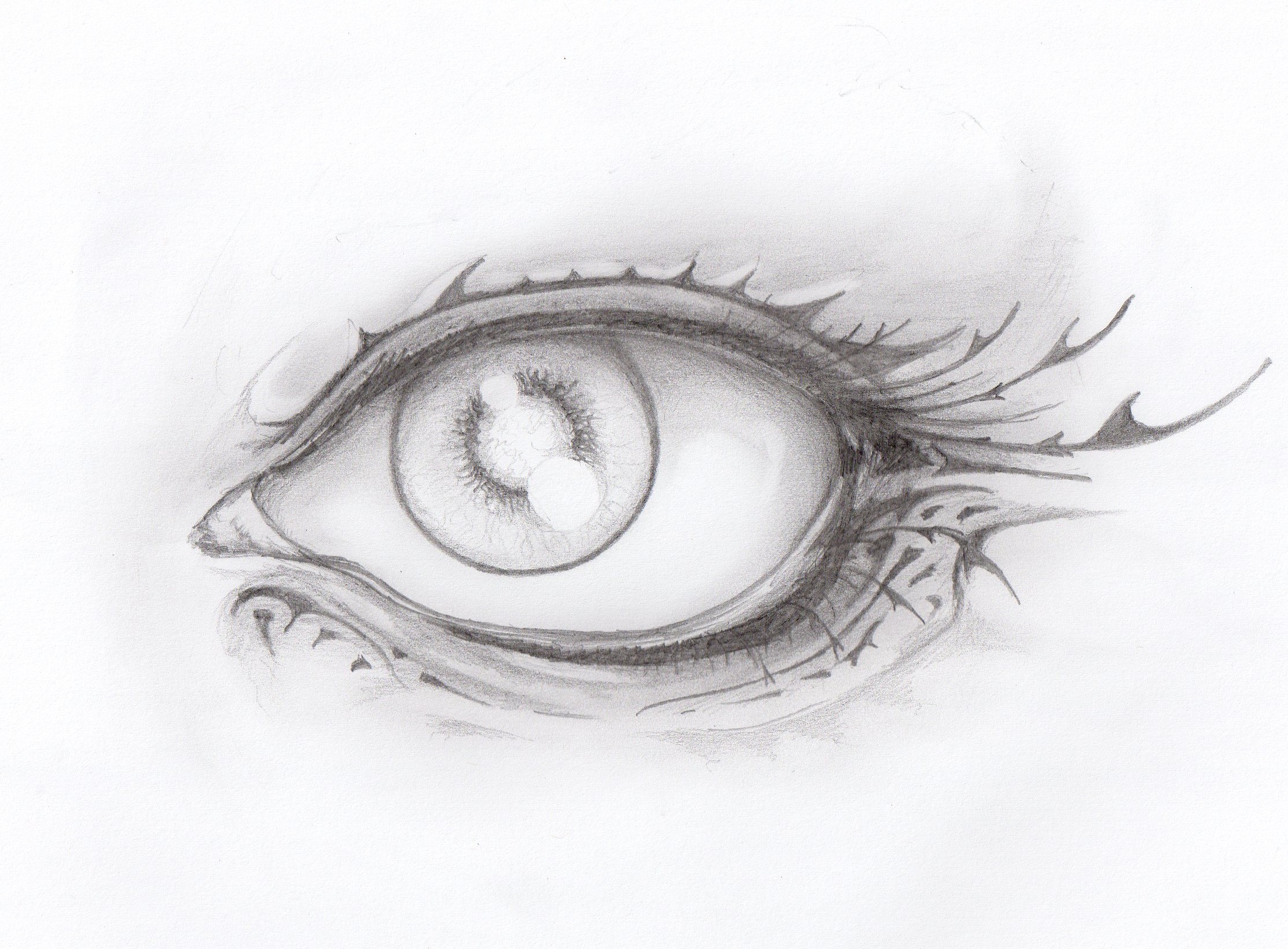 Wallpapers Art - Pencil Eyes Oeil :D