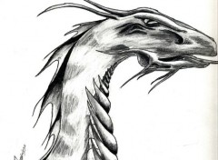  Art - Pencil Dragons de tout temps