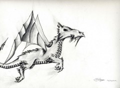  Art - Pencil Dragons de tout temps