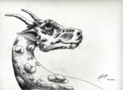  Art - Pencil Dragons de tout temps