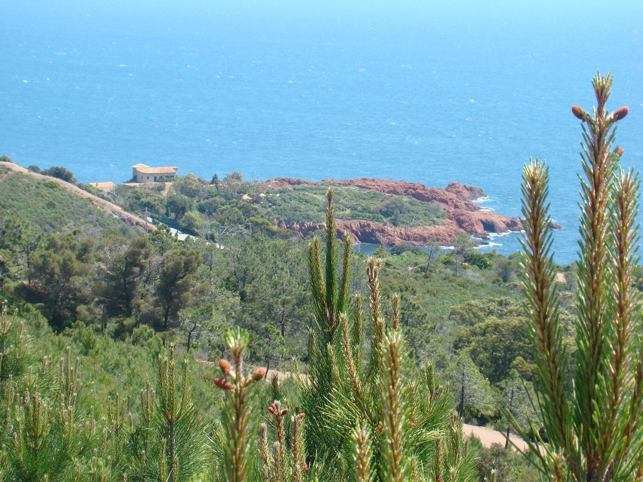 Wallpapers Trips : Europ France > Provence-Alpes-Cte d'Azur côte d'azur près de l'esterel