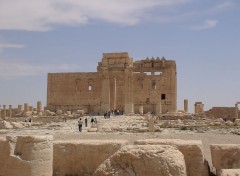  Voyages : Asie palmyra