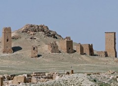  Voyages : Asie palmyra