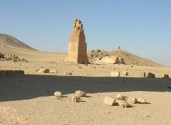  Voyages : Asie palmyra