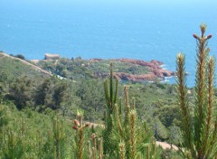  Trips : Europ côte d'azur près de l'esterel