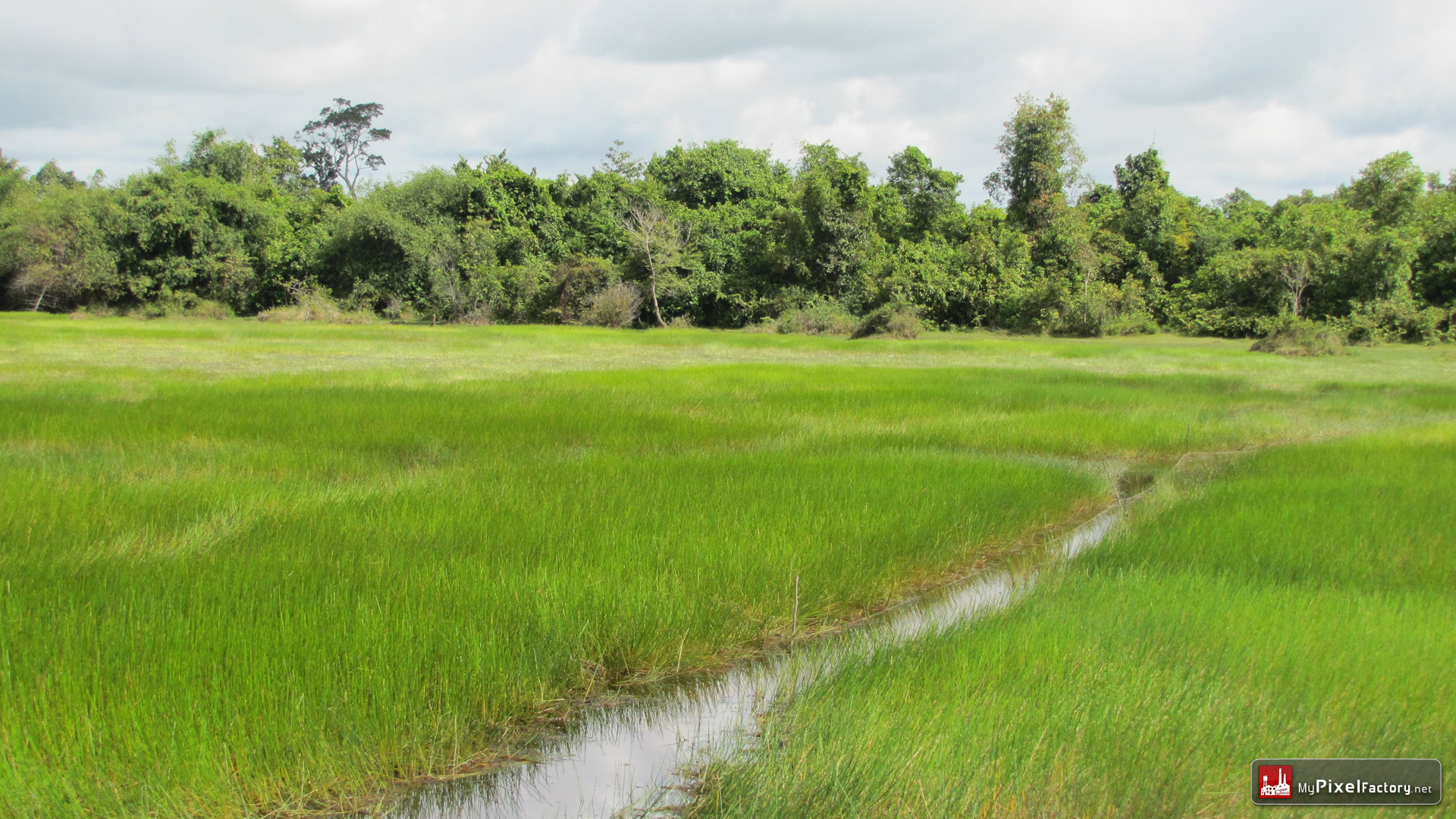 Wallpapers Trips : Asia Cambodia Riziere du nord du cambodge