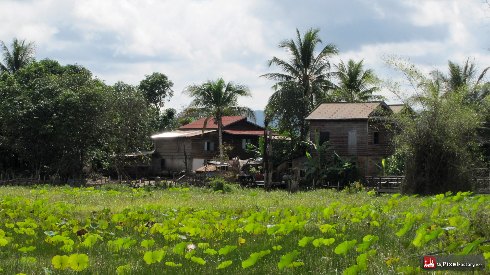 Wallpapers Trips : Asia Cambodia Riziere du nord du cambodge