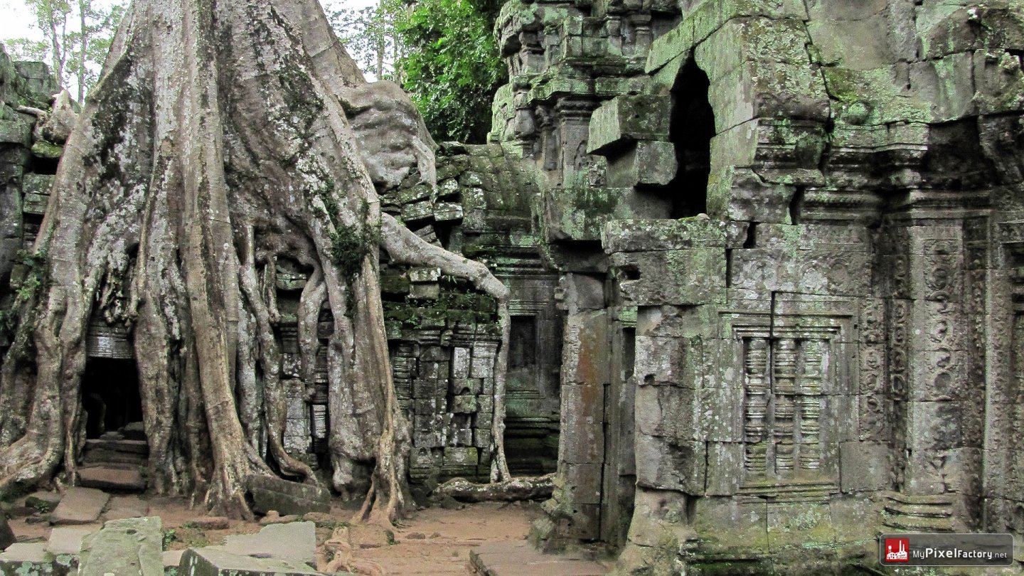 Fonds d'cran Voyages : Asie Cambodge Temple de Ta Prohm