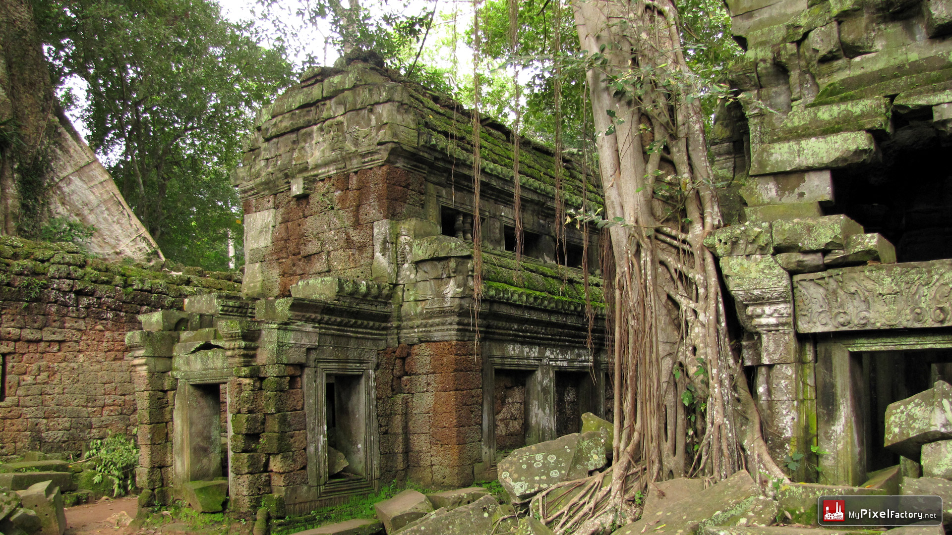 Fonds d'cran Voyages : Asie Cambodge Temple de Ta Prohm