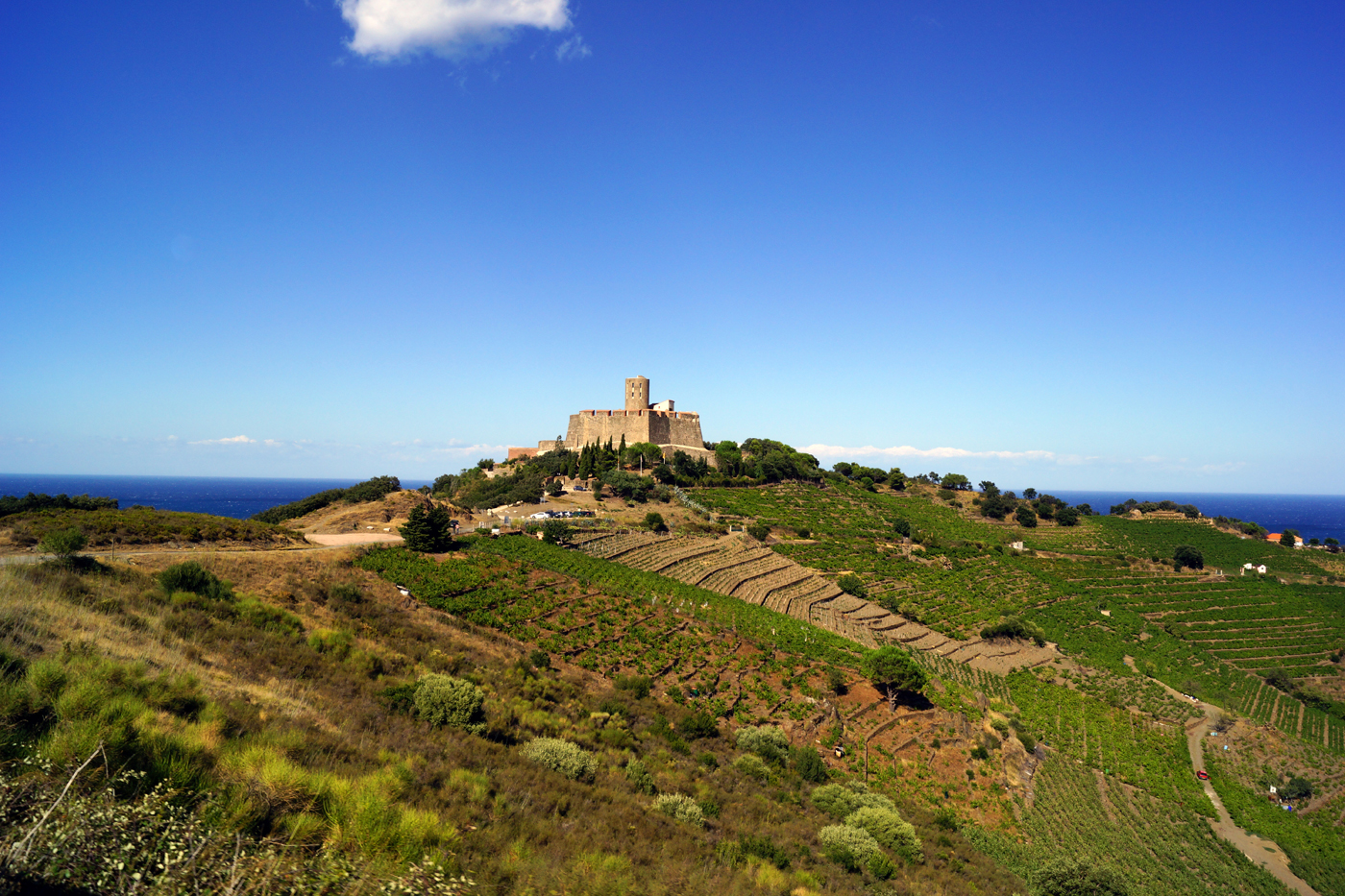 Wallpapers Trips : Europ France > Languedoc-Roussillon Le chateau d'Elme