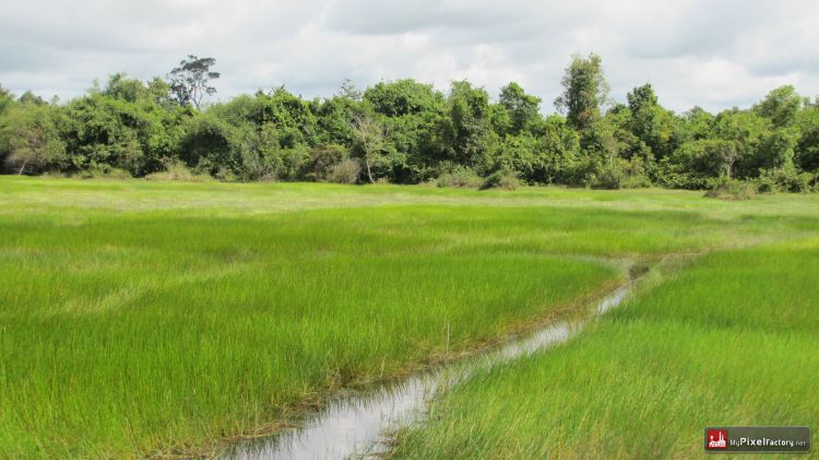 Wallpapers Trips : Asia Cambodia Riziere du nord du cambodge