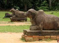  Voyages : Asie Temple de Preah Ko