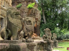  Trips : Asia Temple de Preah Ko