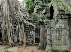  Voyages : Asie Temple de Ta Prohm