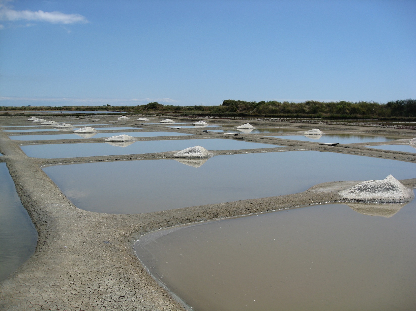 Fonds d'cran Nature Marais Gurande