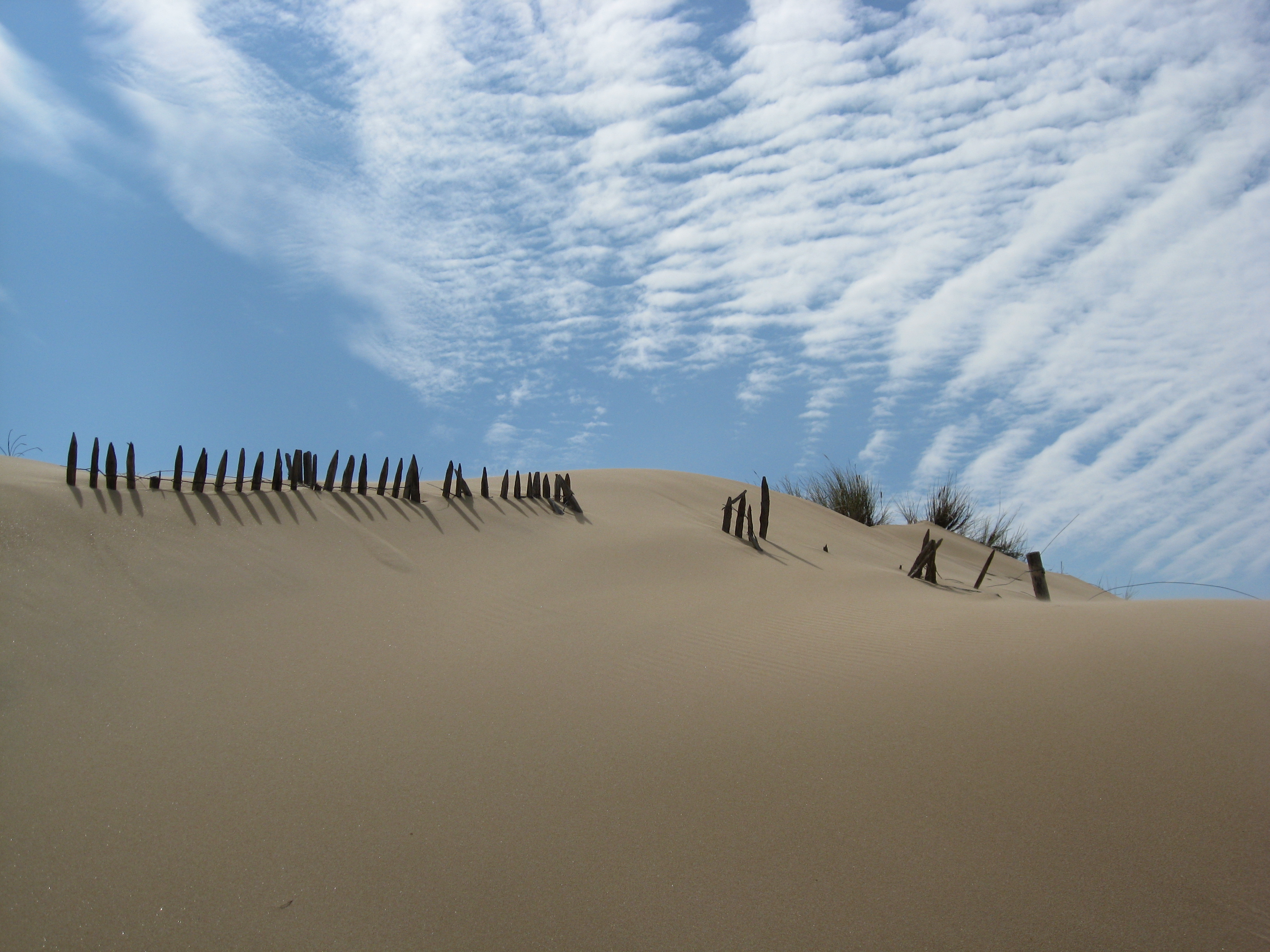 Fonds d'cran Nature Mers - Ocans - Plages 