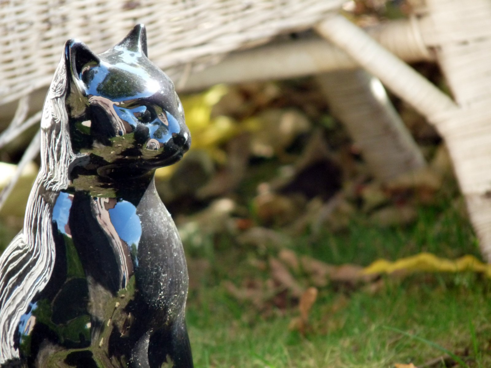 Wallpapers Objects Statues - Sculptures Le chat