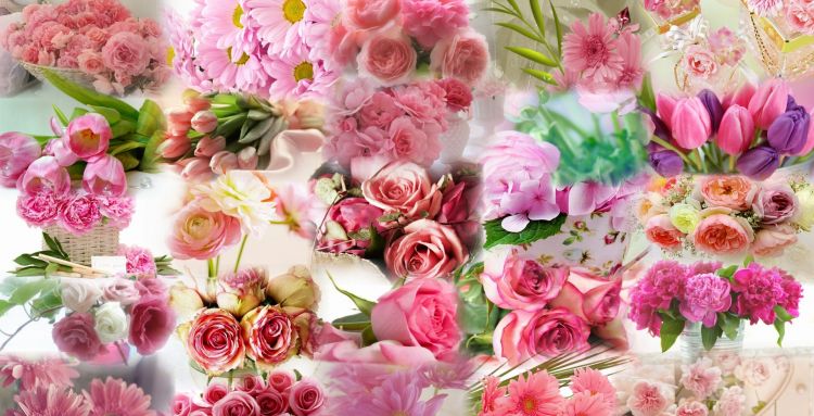 Wallpapers Digital Art Nature - Flowers Wallpaper N316622