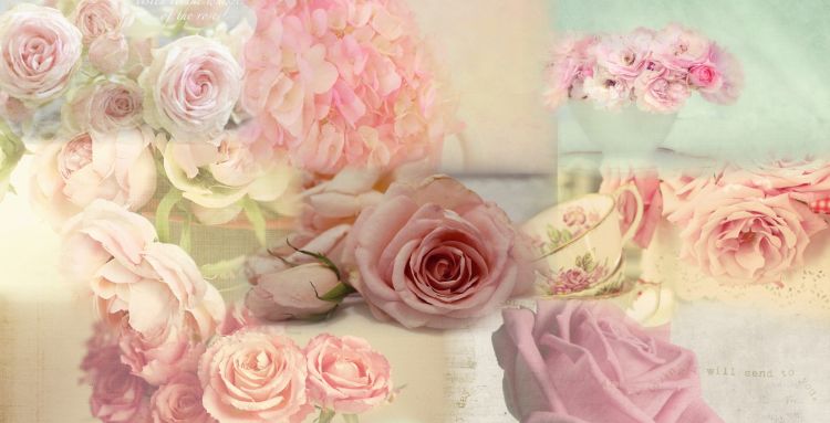 Wallpapers Digital Art Nature - Flowers Wallpaper N316629