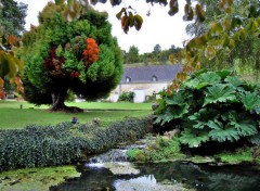  Nature Le jardin de Sasnire