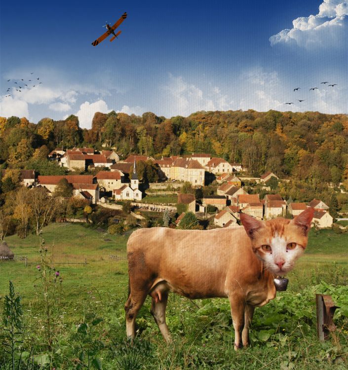 Wallpapers Digital Art Nature - Landscapes Le chat-vache du village