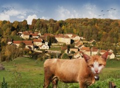  Art - Numrique Le chat-vache du village