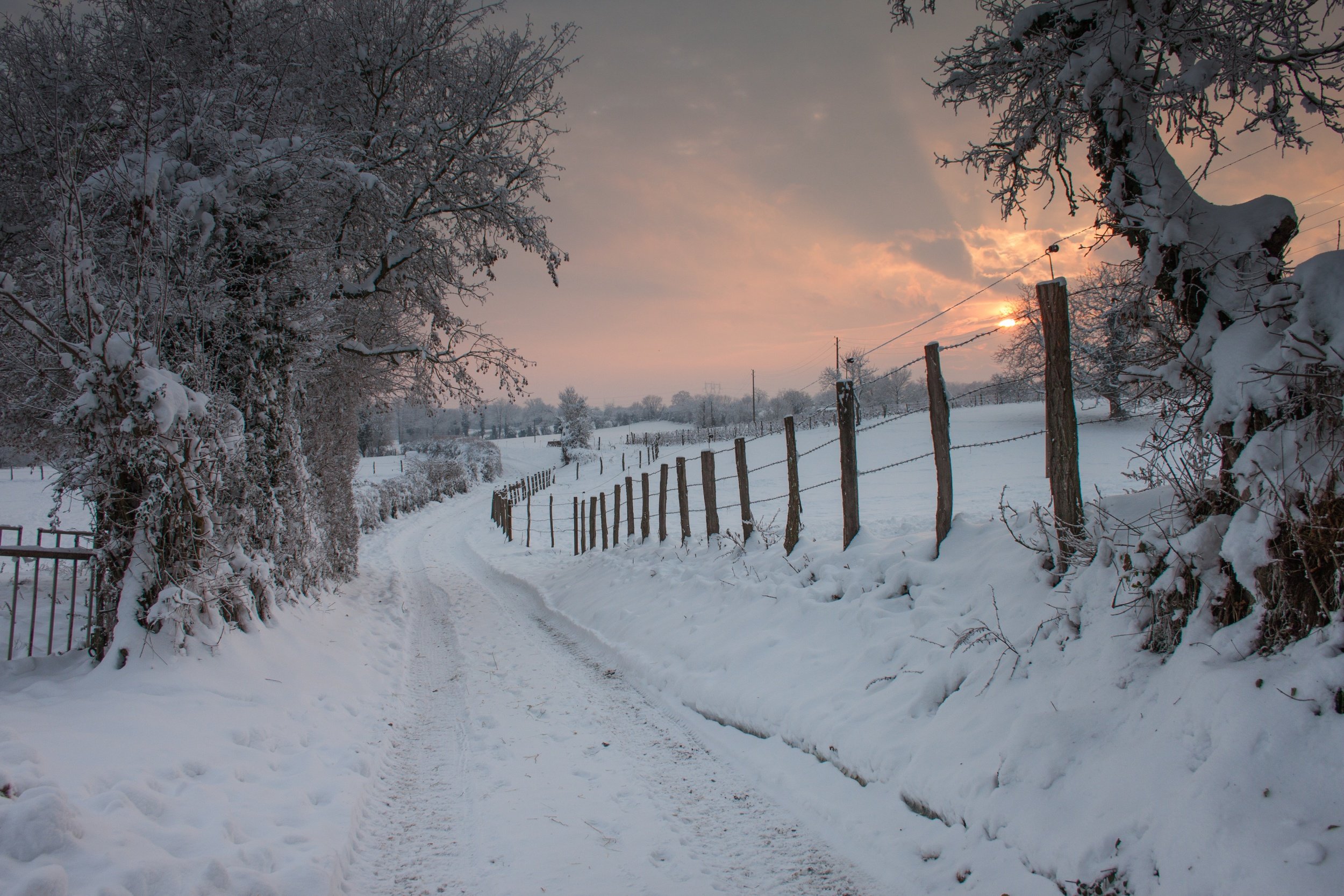 Wallpapers Nature Saisons - Winter chemin dans la neige